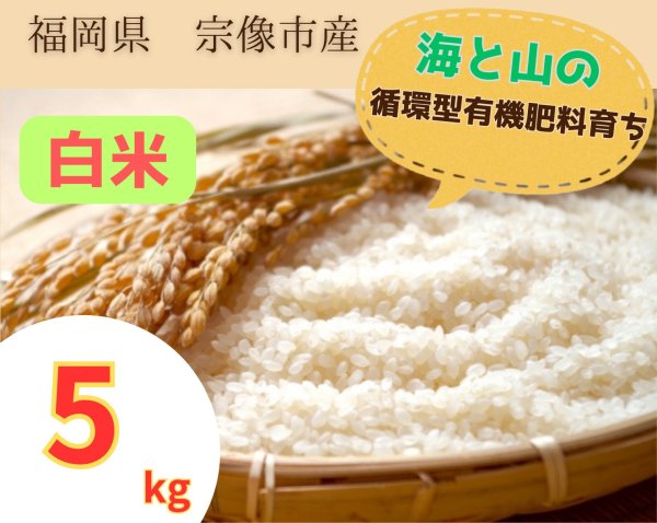 画像1: 白米　5kg【夢つくし】　 (1)