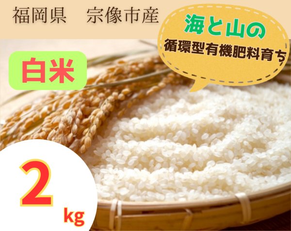 画像1: 白米  2kg 【元気づくし】 (1)